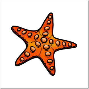 Starfish Posters and Art